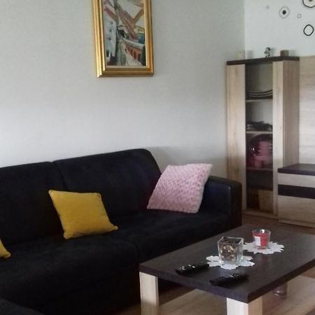 Apartman Lana ,Froudeova Ulica 3 Nasuprot Zg Velesajma Apartment Загреб Екстериор снимка