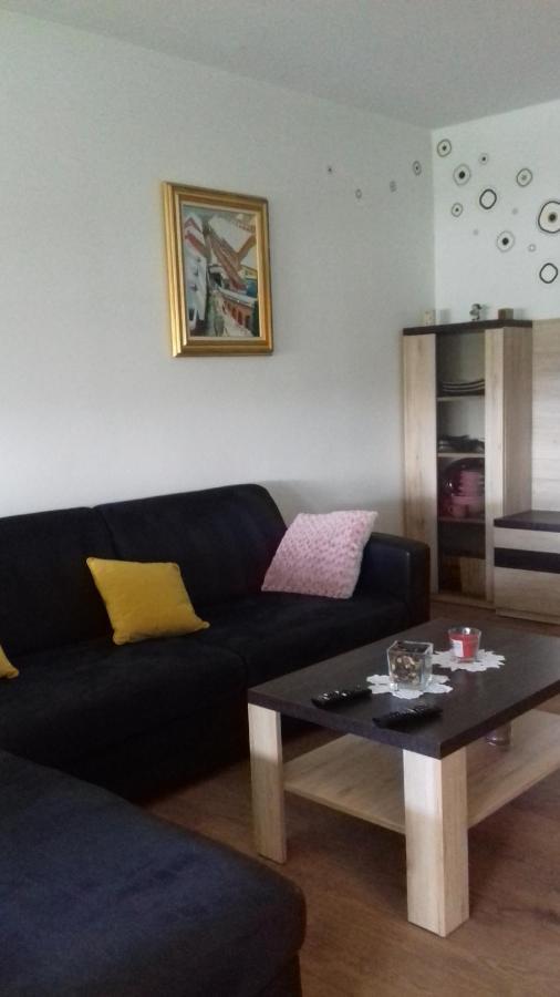 Apartman Lana ,Froudeova Ulica 3 Nasuprot Zg Velesajma Apartment Загреб Екстериор снимка