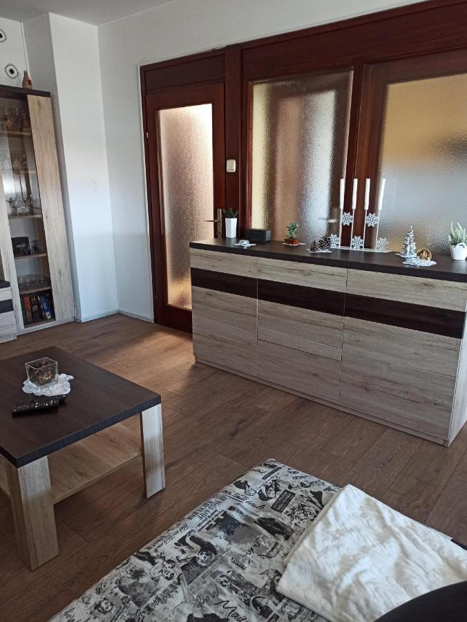 Apartman Lana ,Froudeova Ulica 3 Nasuprot Zg Velesajma Apartment Загреб Екстериор снимка